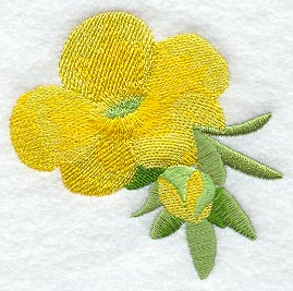 Buttercup Blossom