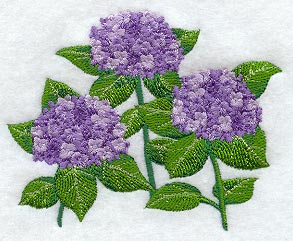 Hydrangea Bunch