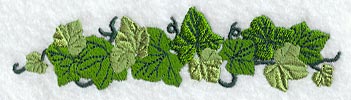 Ivy Border