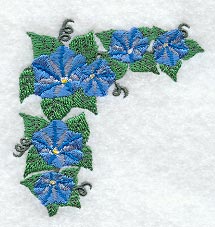 Morning Glory Corner