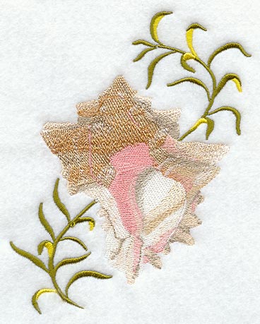 Cabbage Murex Seashell & Seagreen