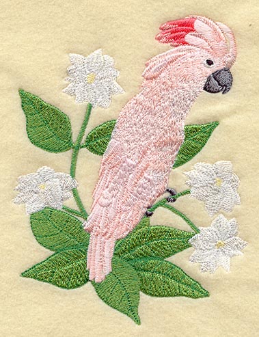 Moluccan Cockatoo w/ Jasmine Flowers