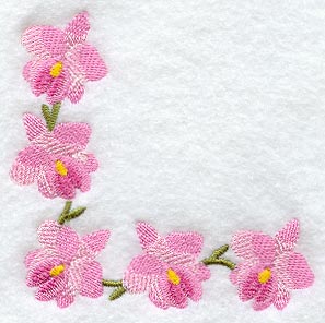 Cattleya Orchid Corner