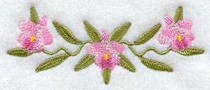 Cattleya Orchid Border