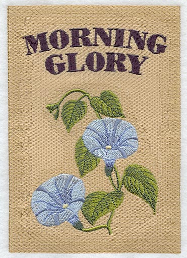 Morning Glory Seed Packet