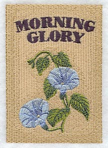 Morning Glory Seed Packet