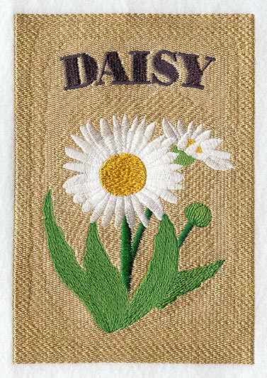 Daisy Seed Packet