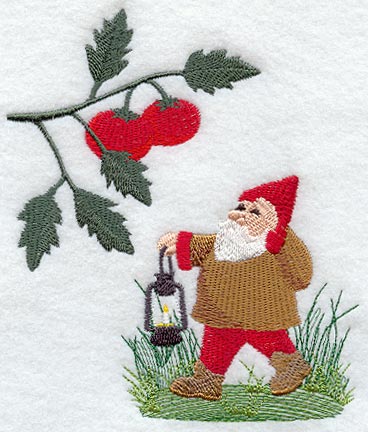 Garden Gnome & Tomatoes