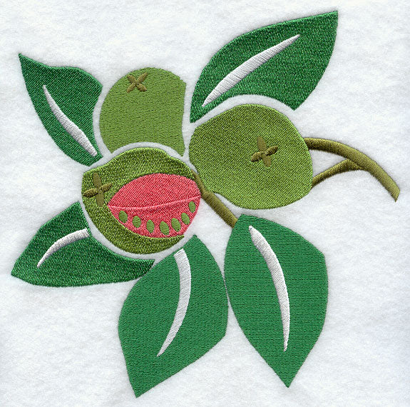 Guava Woodcut