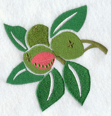 Guava Woodcut