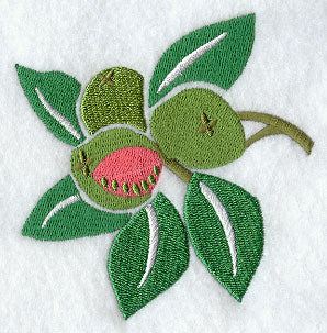 Guava Woodcut