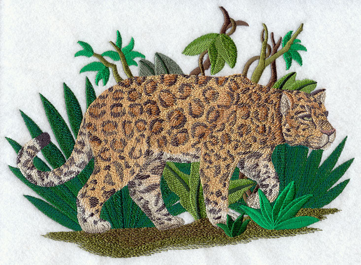 Prowling Jaguar