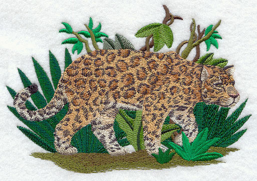 Prowling Jaguar