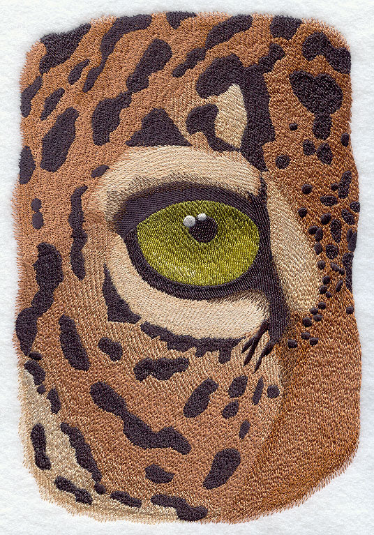 Eye of the Jaguar