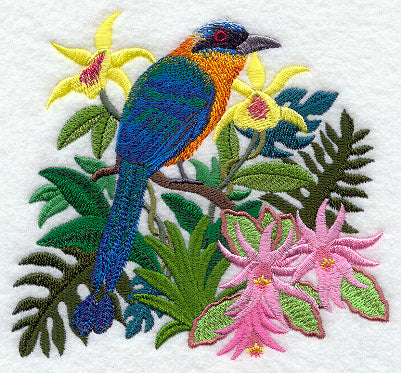Easter Cactus and Blue-crowned Motmot