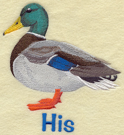 Duck - His