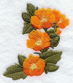 Grand Canyon Medley - Globemallow