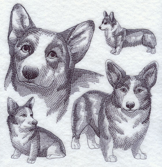 Pembroke Welsh Corgi Sketch