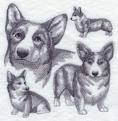 Pembroke Welsh Corgi Sketch