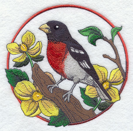 Rose-breasted Grosbeak and Wood Poppy Circle