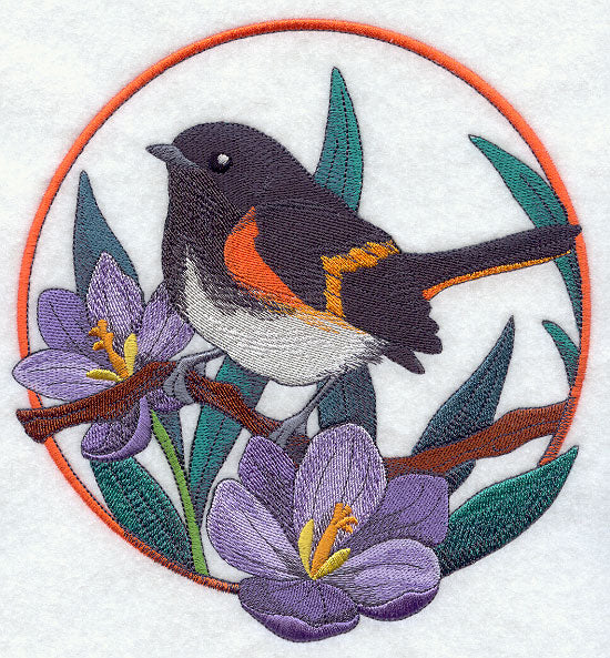 American Redstart and Crocus Circle