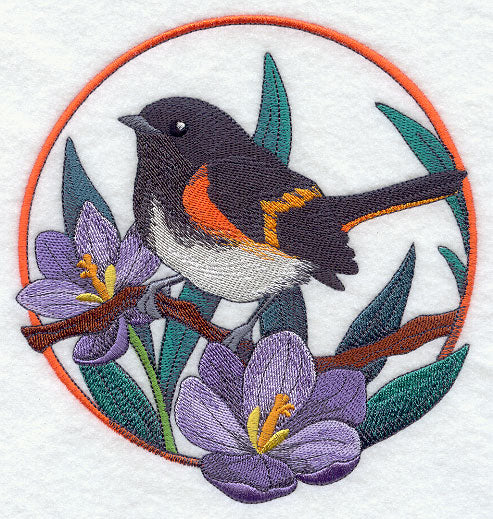 American Redstart and Crocus Circle