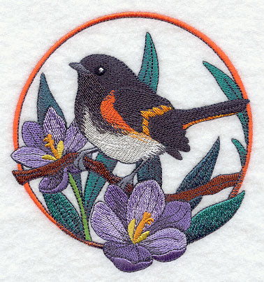 American Redstart and Crocus Circle