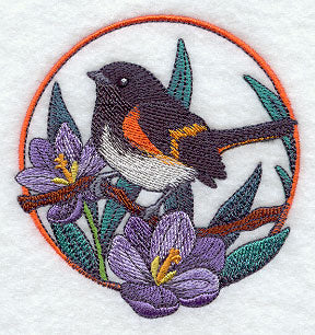 American Redstart and Crocus Circle