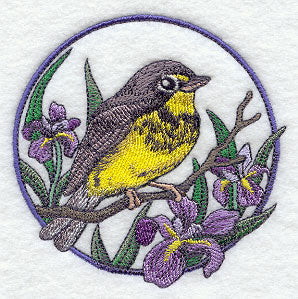 Canada Warbler and Iris Circle