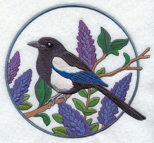Black-billed Magpie and Lupine Circle