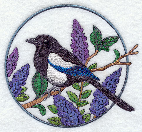 Black-billed Magpie and Lupine Circle