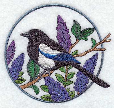 Black-billed Magpie and Lupine Circle