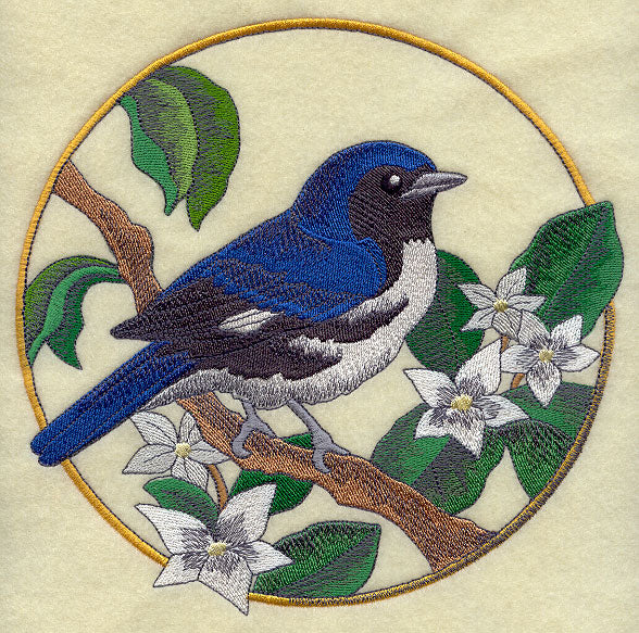 Black-throated Blue Warbler and Mayflower Circle