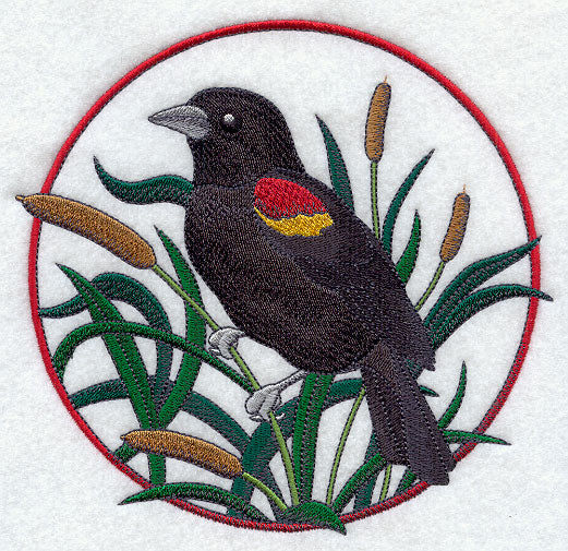 Red-winged Blackbird and Cattail Circle