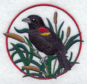 Red-winged Blackbird and Cattail Circle