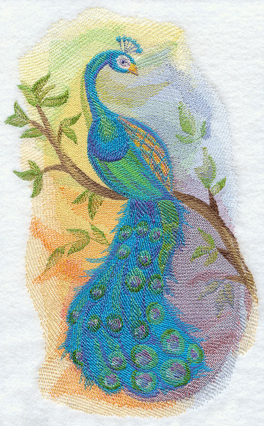 Peacock in Watercolor