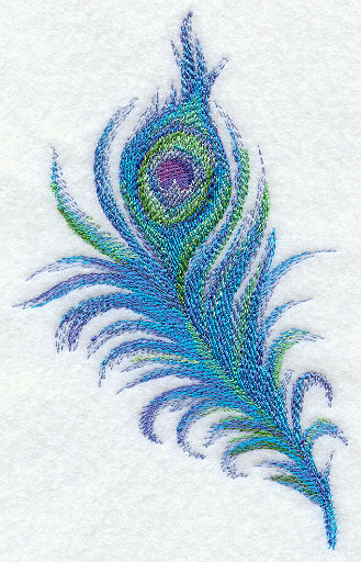 Peacock Feather