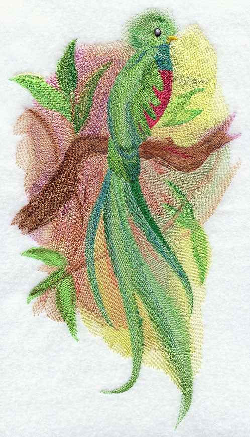 Quetzal in Watercolor