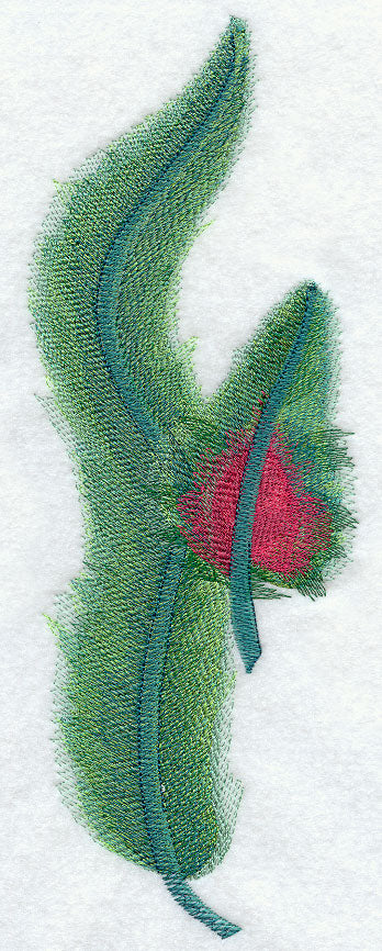 Quetzal Feathers
