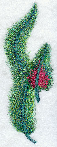 Quetzal Feathers