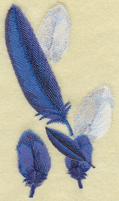 Toucan Feathers