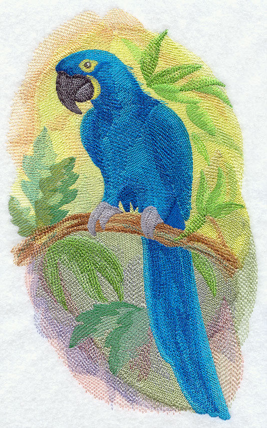 Hyacinth Macaw in Watercolor
