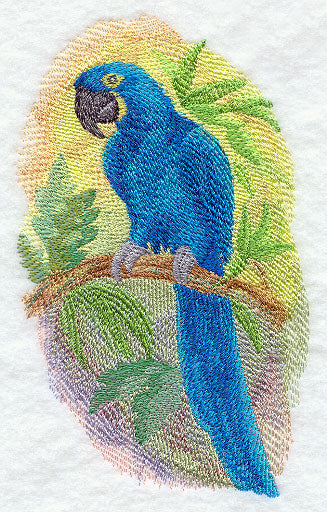 Hyacinth Macaw in Watercolor