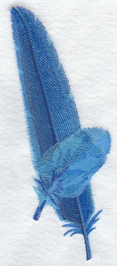 Hyacinth Macaw Feathers