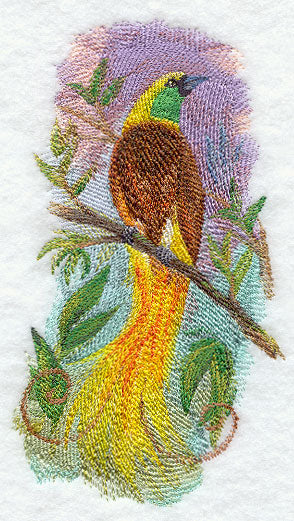 Bird of Paradise in Watercolor