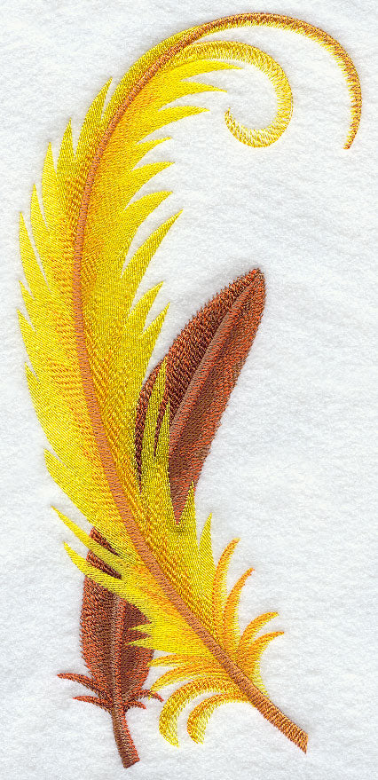 Bird of Paradise Feathers
