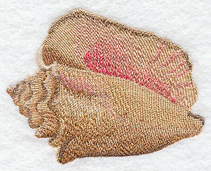 Seaside Beauty - Conch Shell