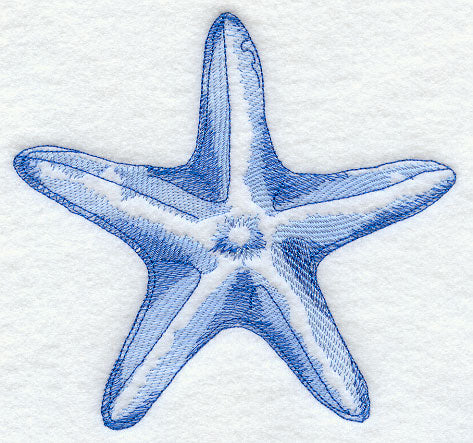 Starfish Sea Sketch