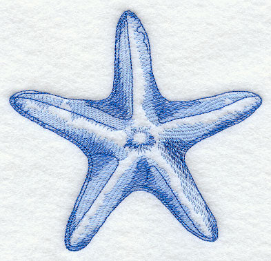 Starfish Sea Sketch