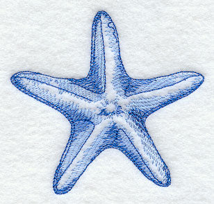 Starfish Sea Sketch
